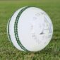 NH Cricket Ball White